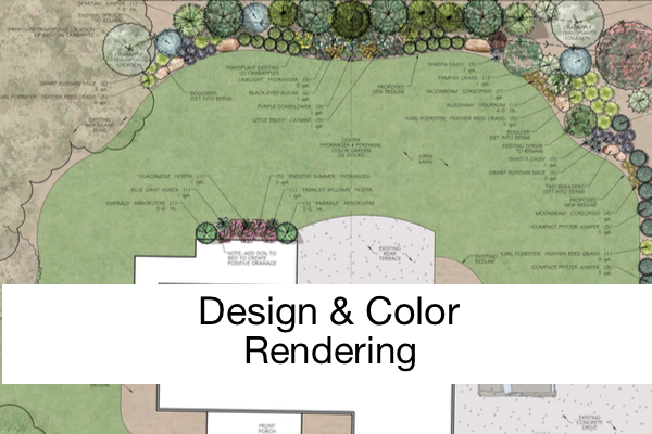 design and color rendering